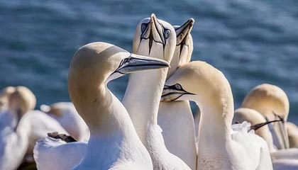 浙江2026年最新北京商务伴游经纪招聘渠道分享(最方便真实的浙江北京爱特博旅运服务有限责任公司招聘方法)